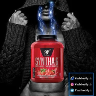 پروتئین وی سینتا 6 | BSN SYNTHA-6